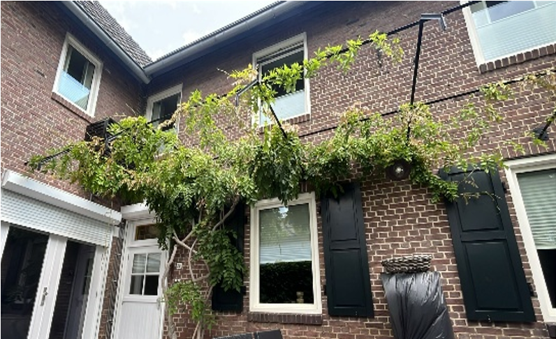 Natuurlijke overkapping